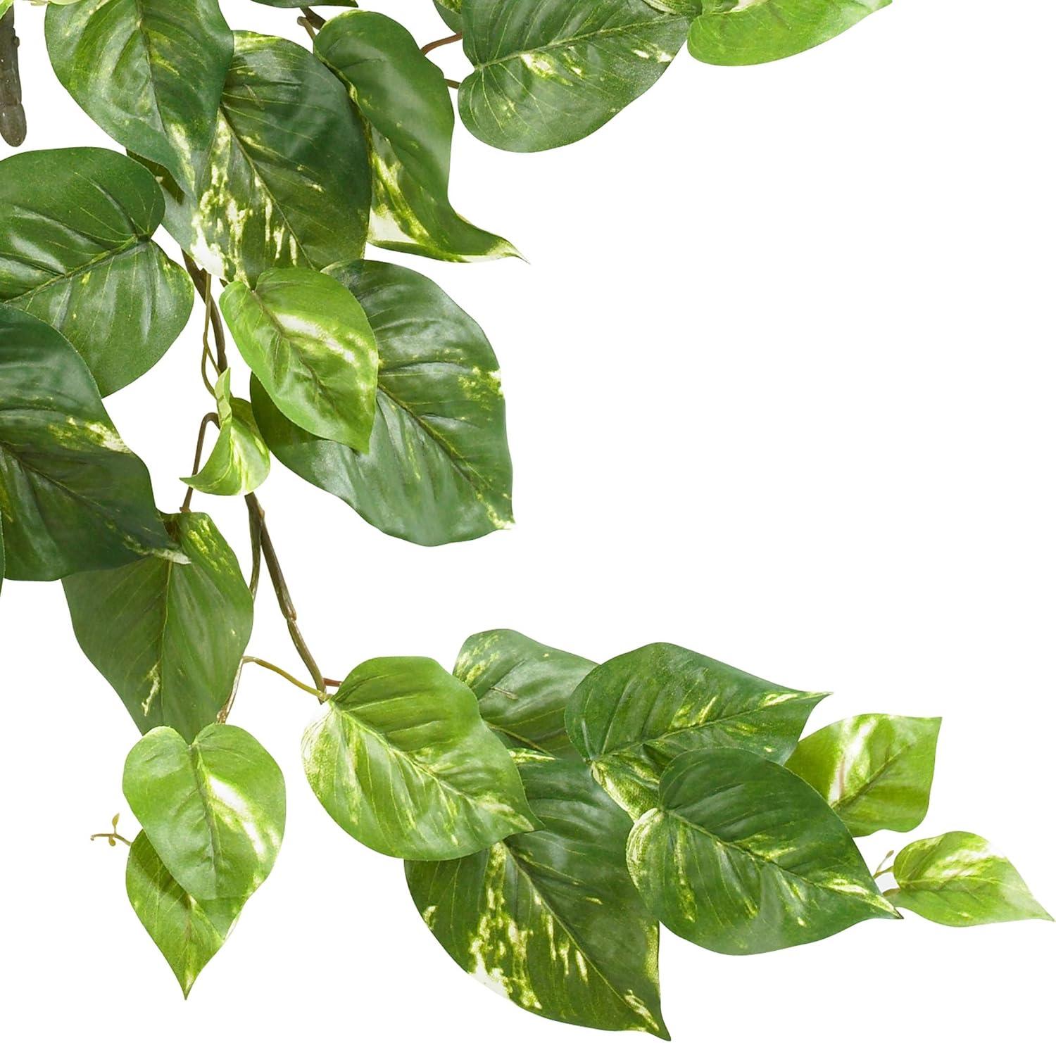 Verdant Heart-Shaped Variegated Pothos Hanging Bush Trio