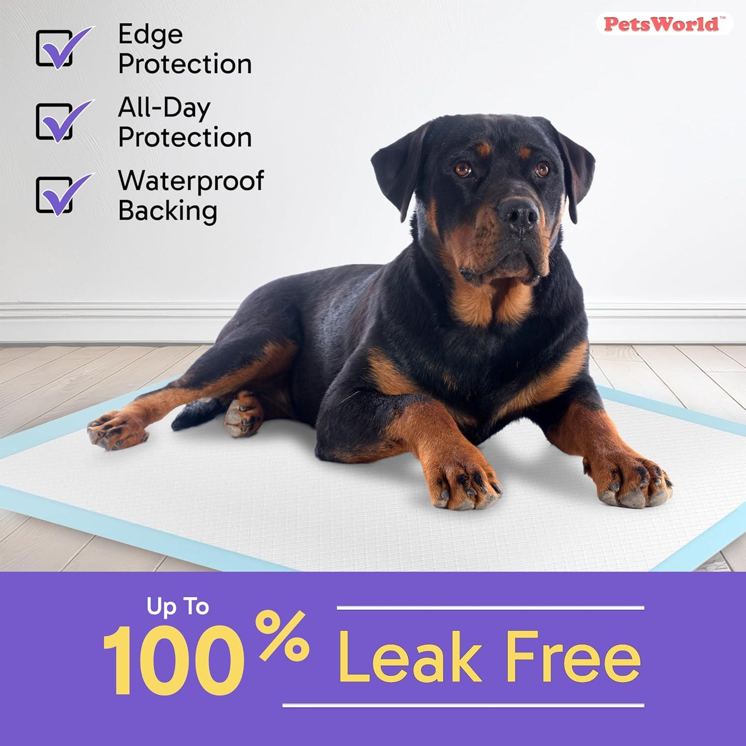 Extra Large Blue Odor Eliminating Dog Potty Pads, 300 Count