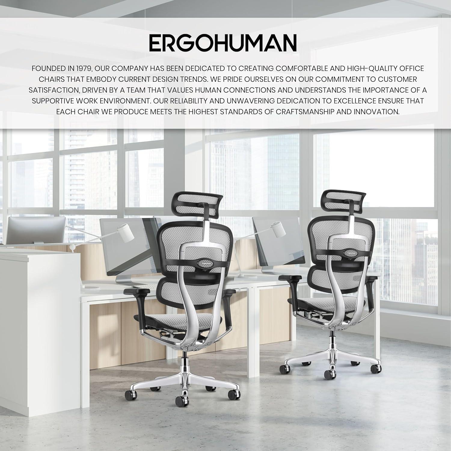 Eurotech Seating Ergohuman Executive Chair with Headrest