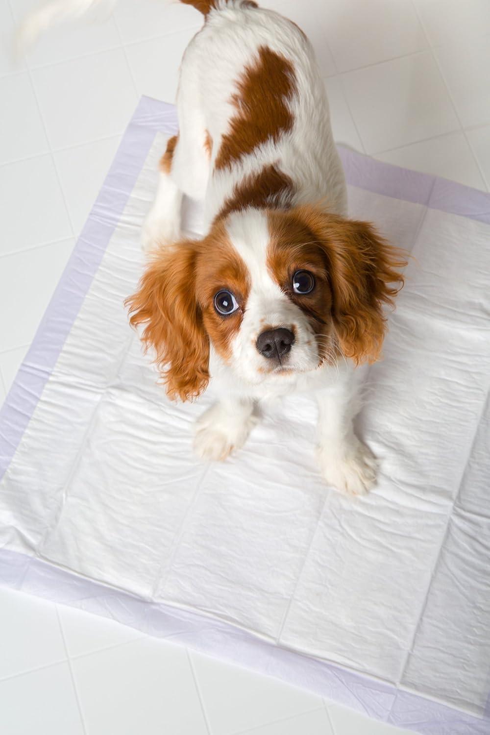 200-Count Odor Eliminating Puppy Pads, Lavender Scent