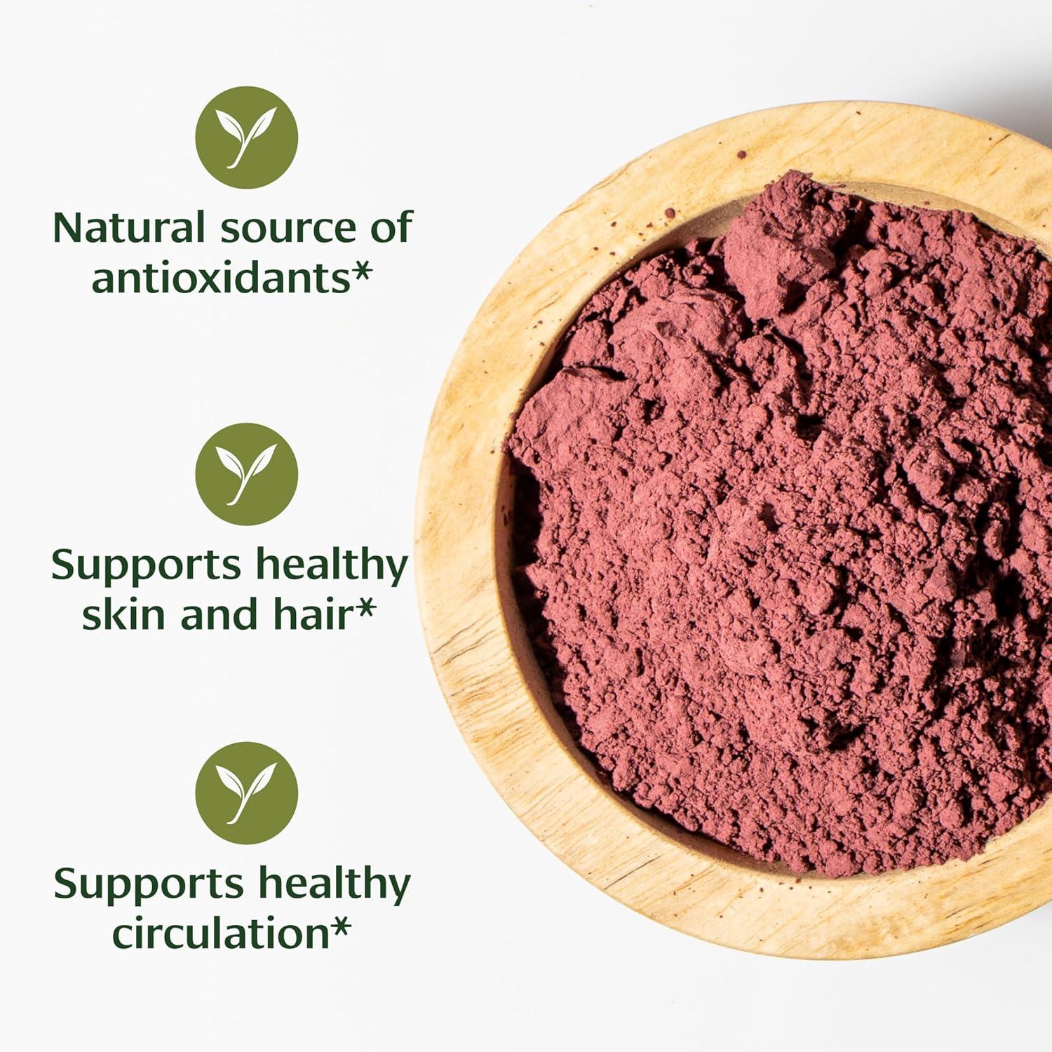 Banyan Botanicals Hibiscus Powder – Organic Hibiscus sabdaiffa – For Refreshing Hibiscus Tea – Supports Healthy Hair & Skin* – 1 lb. – Non-GMO Sustainably Sourced Vegan