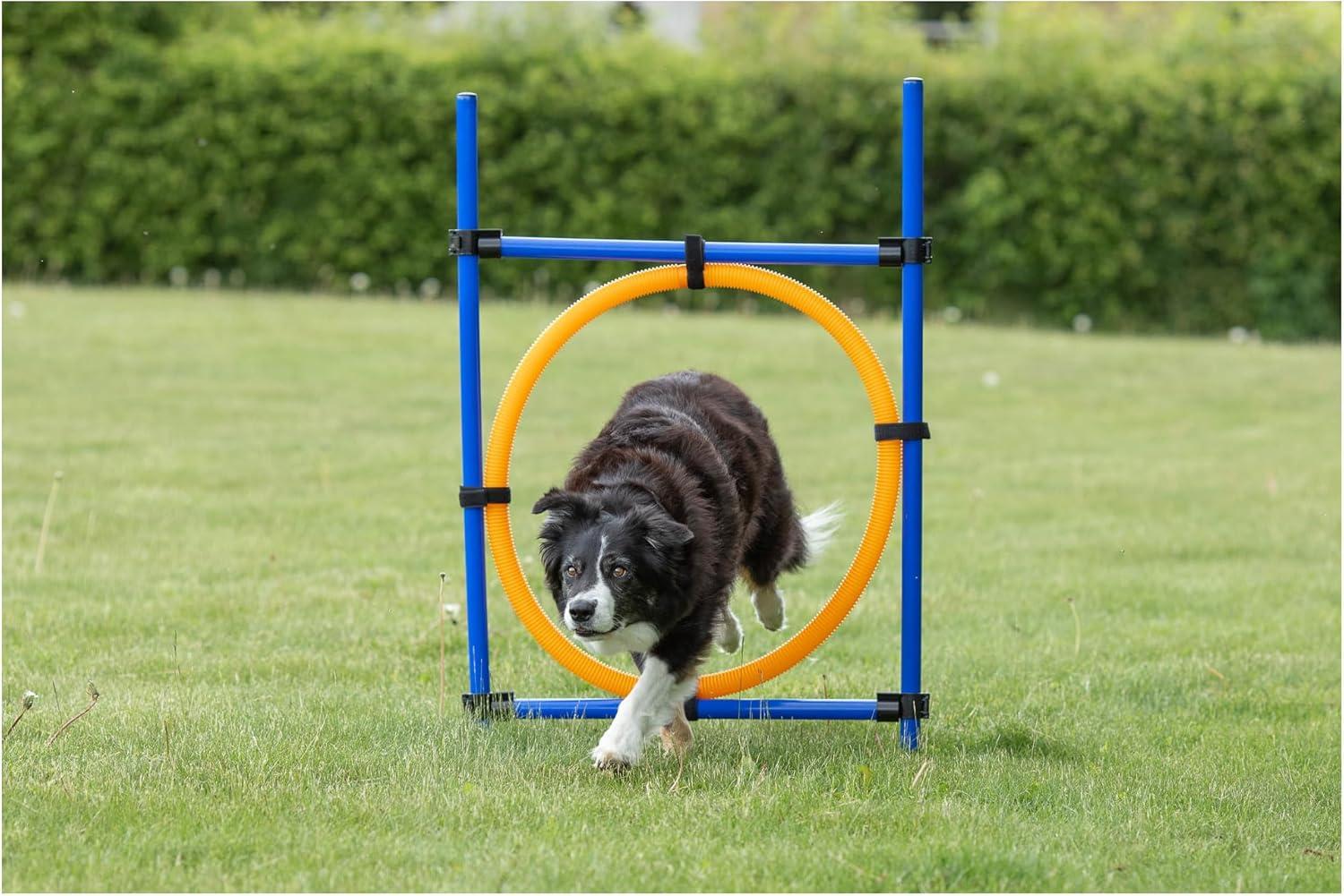 TRIXIE Dog Agility Ring, Portable Dog Hoop, Obstacle Course Equipment
