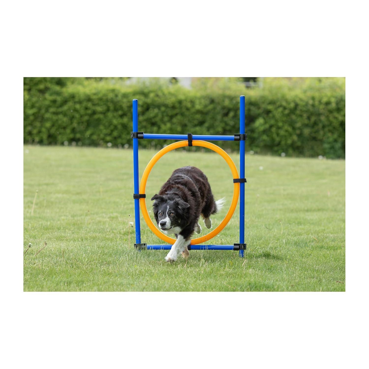 TRIXIE Dog Agility Ring, Portable Dog Hoop, Obstacle Course Equipment