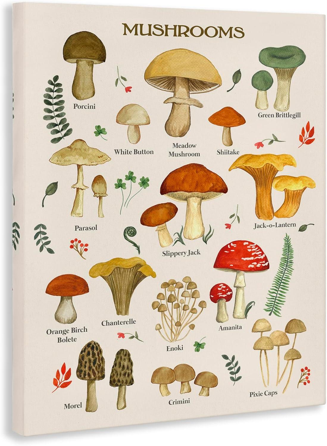 Stupell Industries Foraging Mushrooms Studies Botanical & Floral Painting Gallery Wrapped Canvas Print Wall Art, 16 x 20