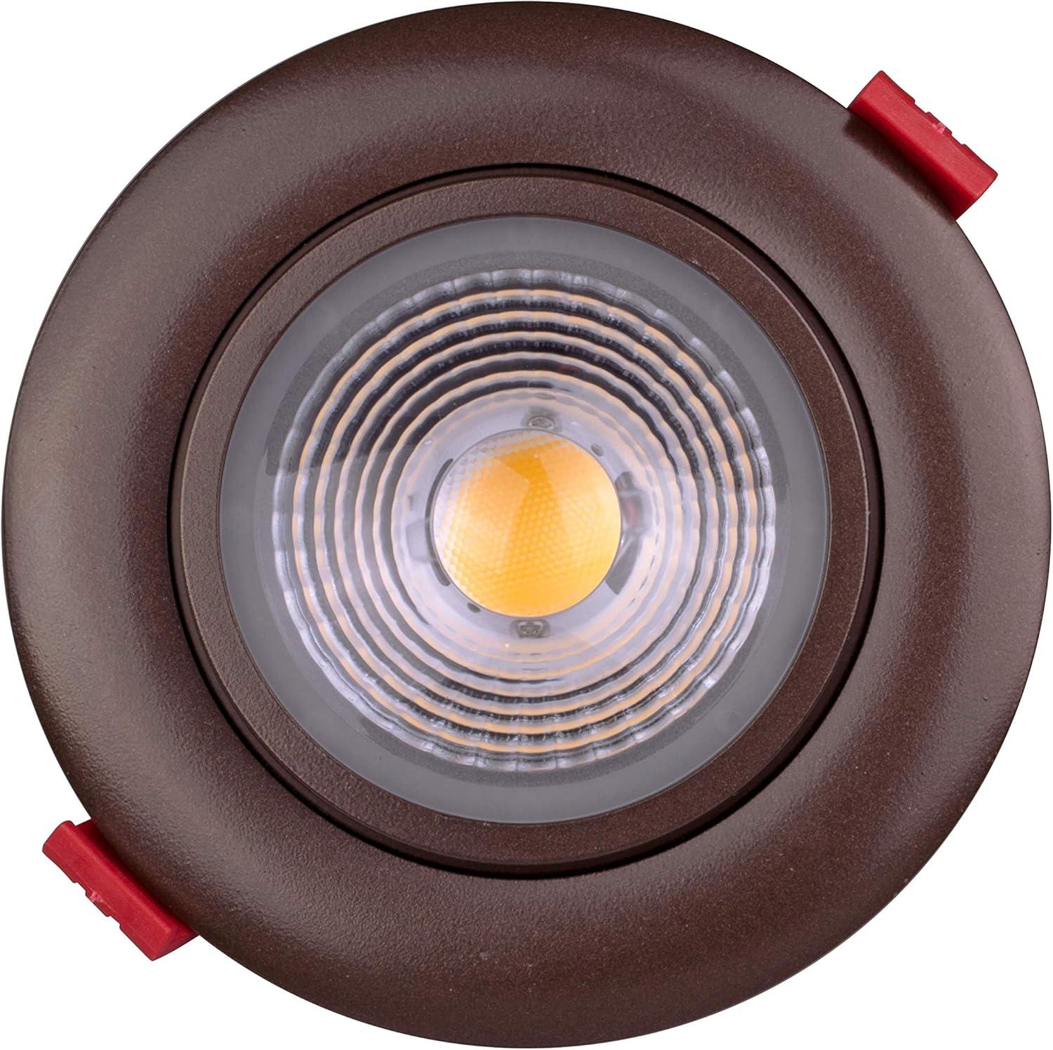 Dimmable Circle Flush Mount