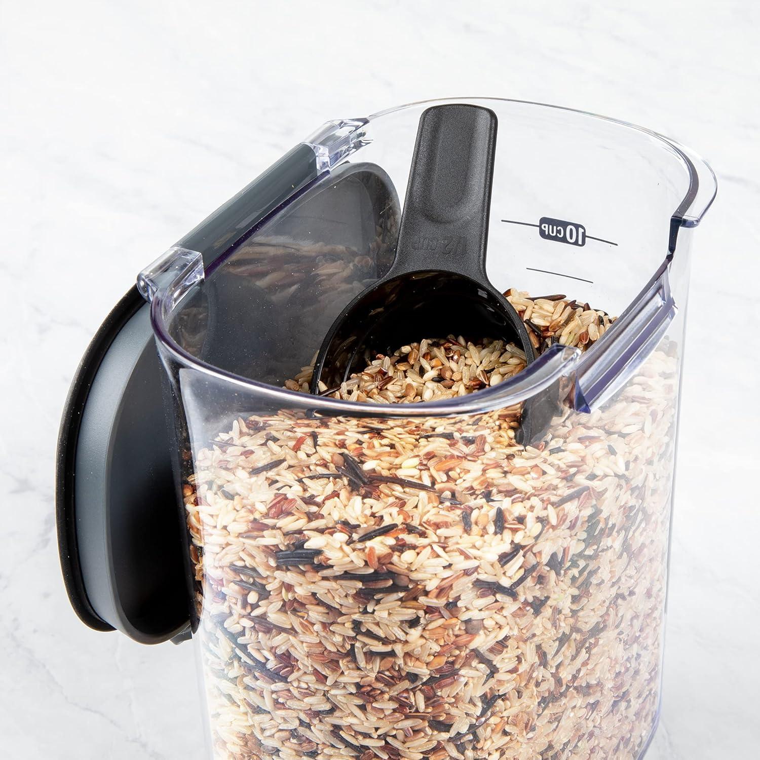 Clear BPA-Free Stainless Steel Grain Storage Container with Scoop