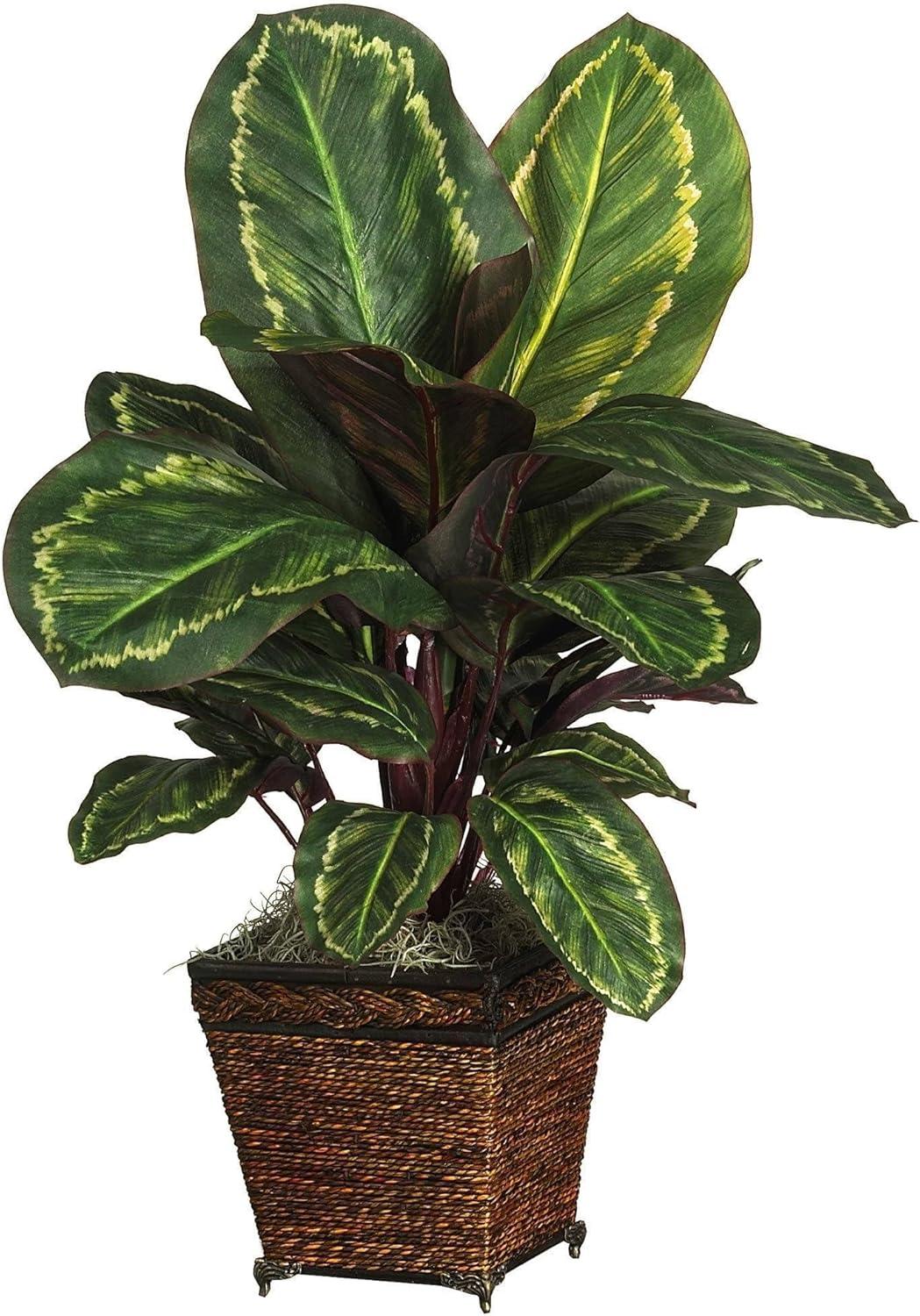 Nearly Natural Maranta with Basket Silk Plant