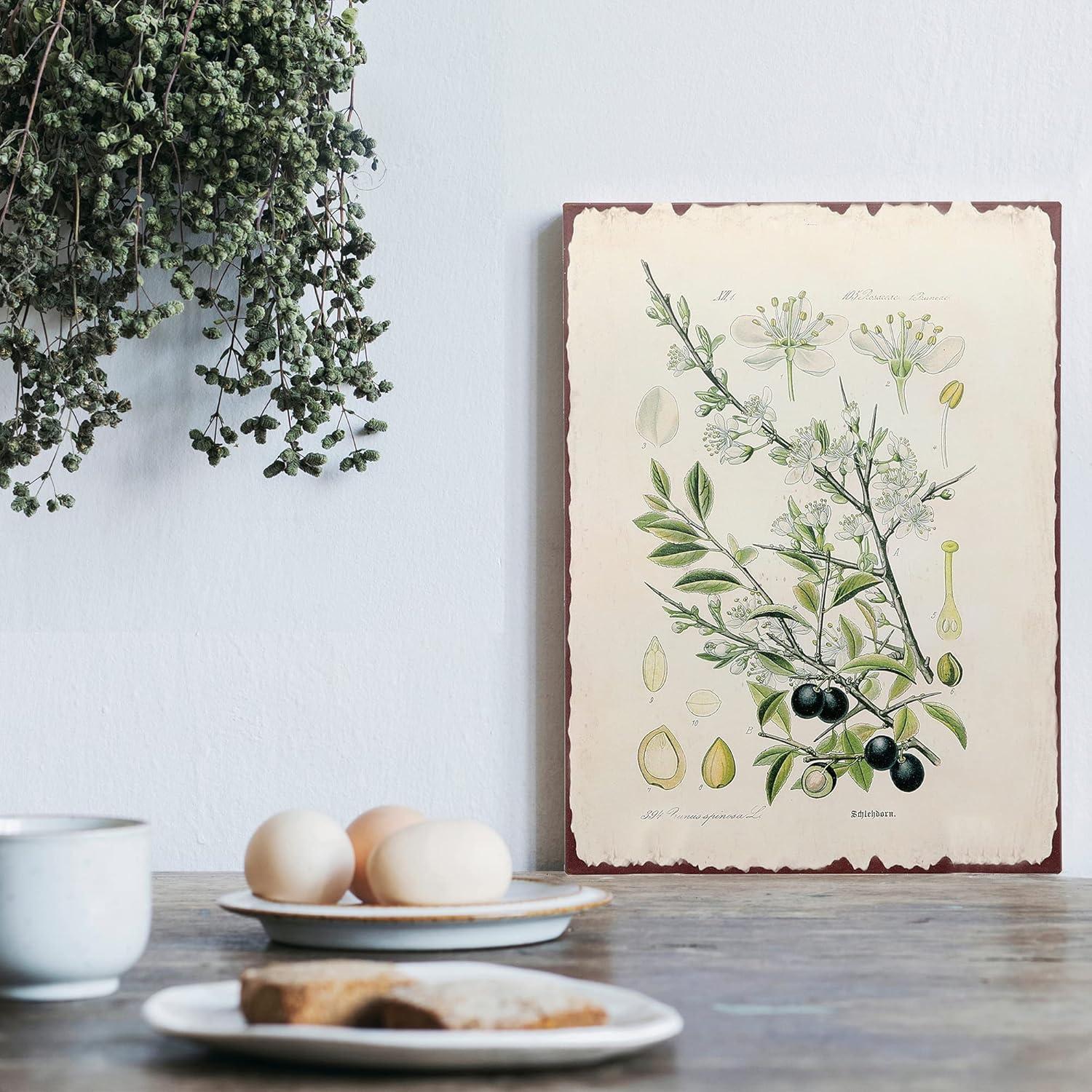 Barnyard Designs Botanical Blackthorn Tree Print Wall Art Metal Tin Sign Primitive Country Farmhouse Home Decor, 10" x 13"