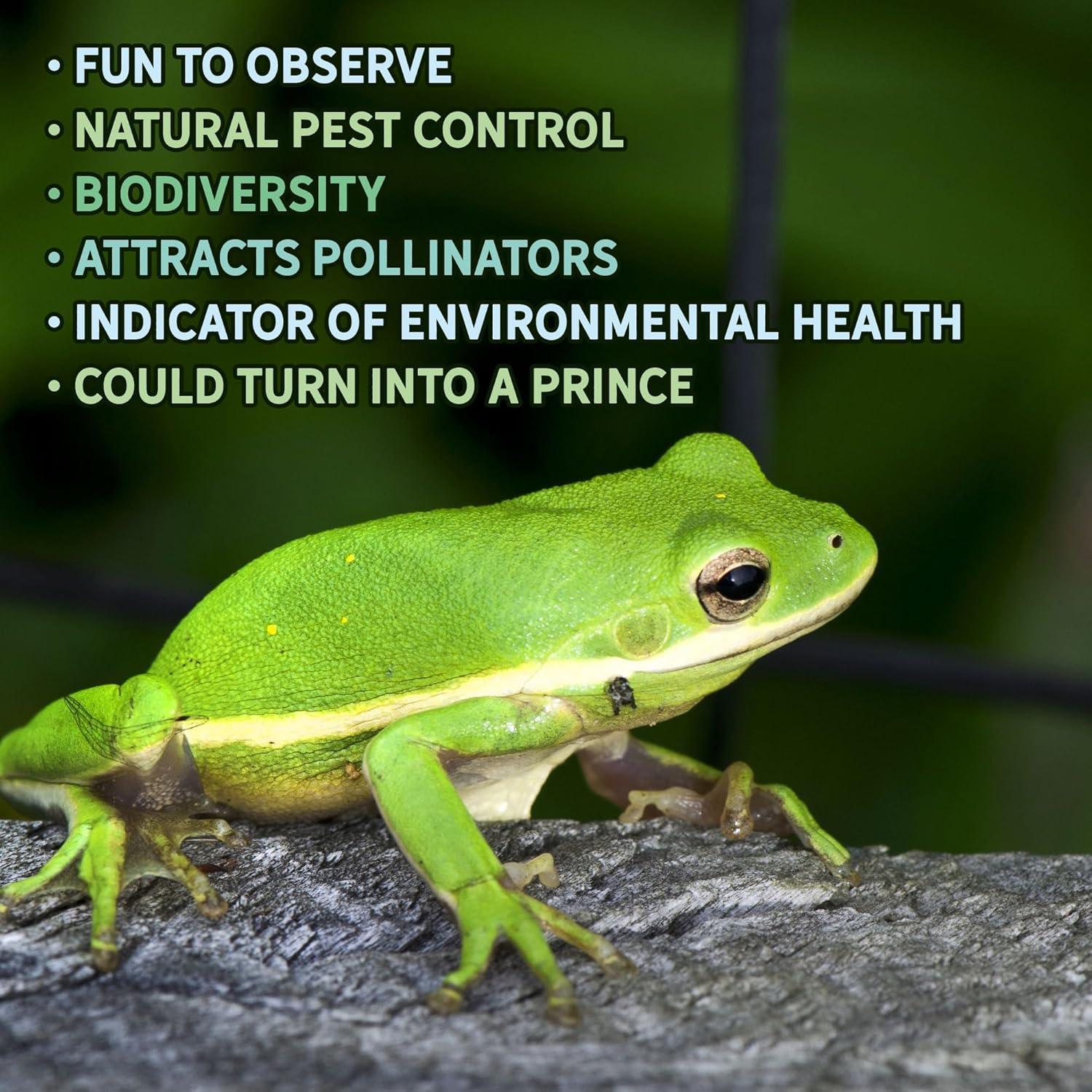 Uncle Dunkels Tree Frog House, Outdoor Tree Frog Habitat, Handmade in the USA