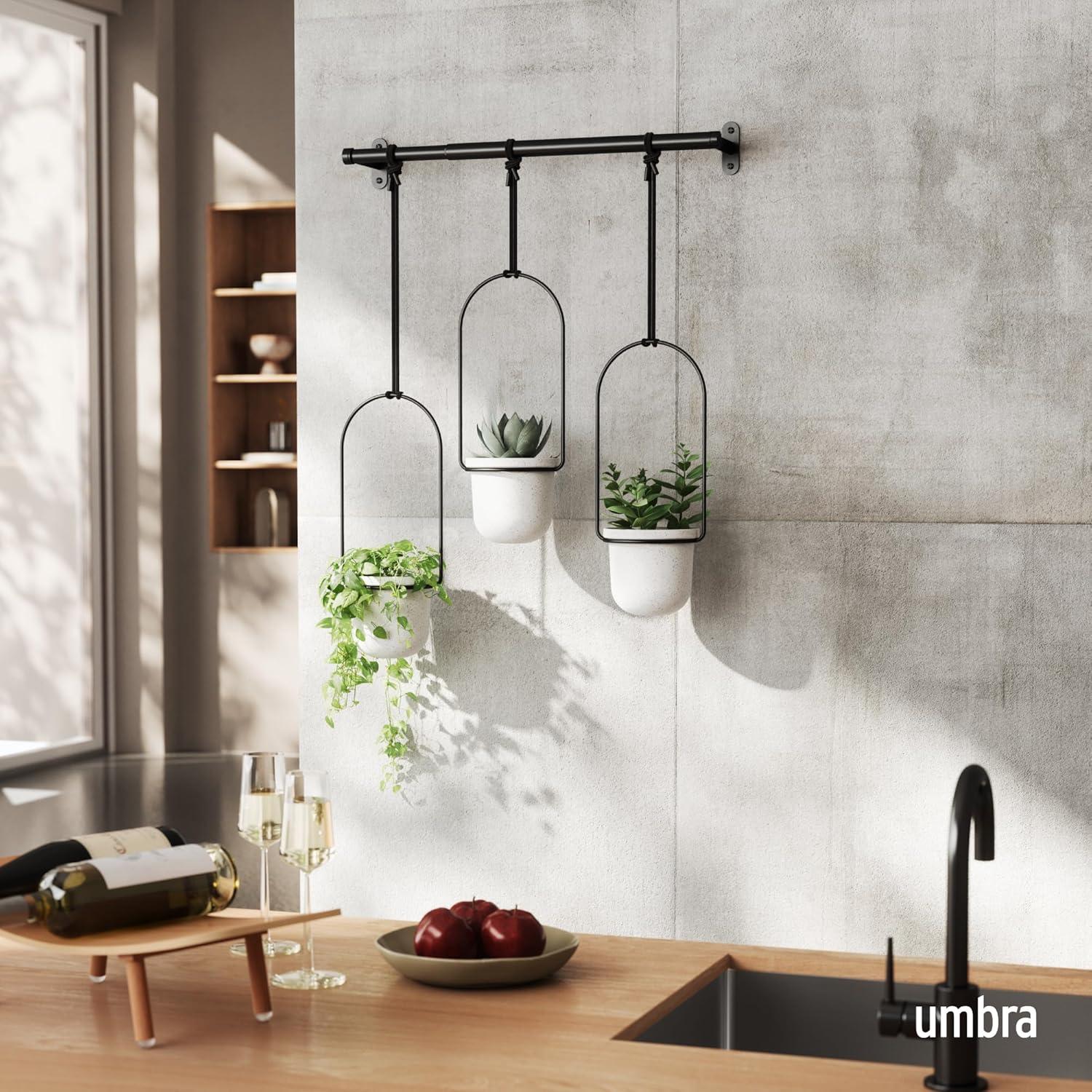 Tri-Flora Hanging Planter