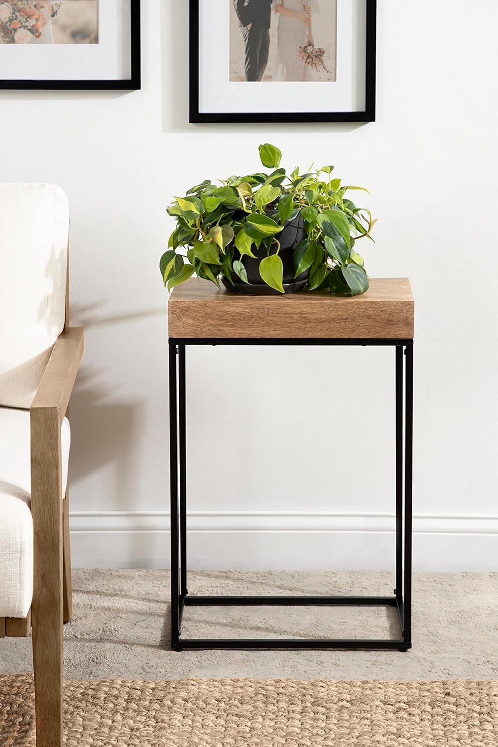 Kate and Laurel Karlsen Wood and Metal Slim Side Table