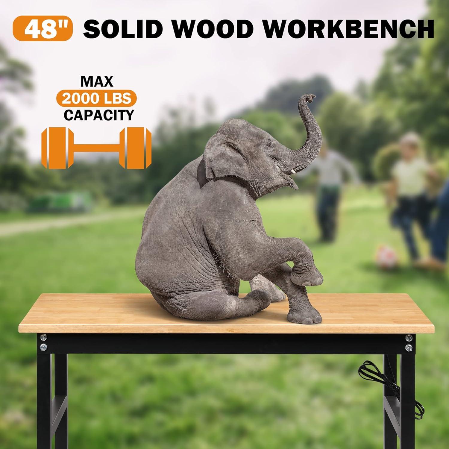 Solid Wood Top Height-Adjustable Workbench