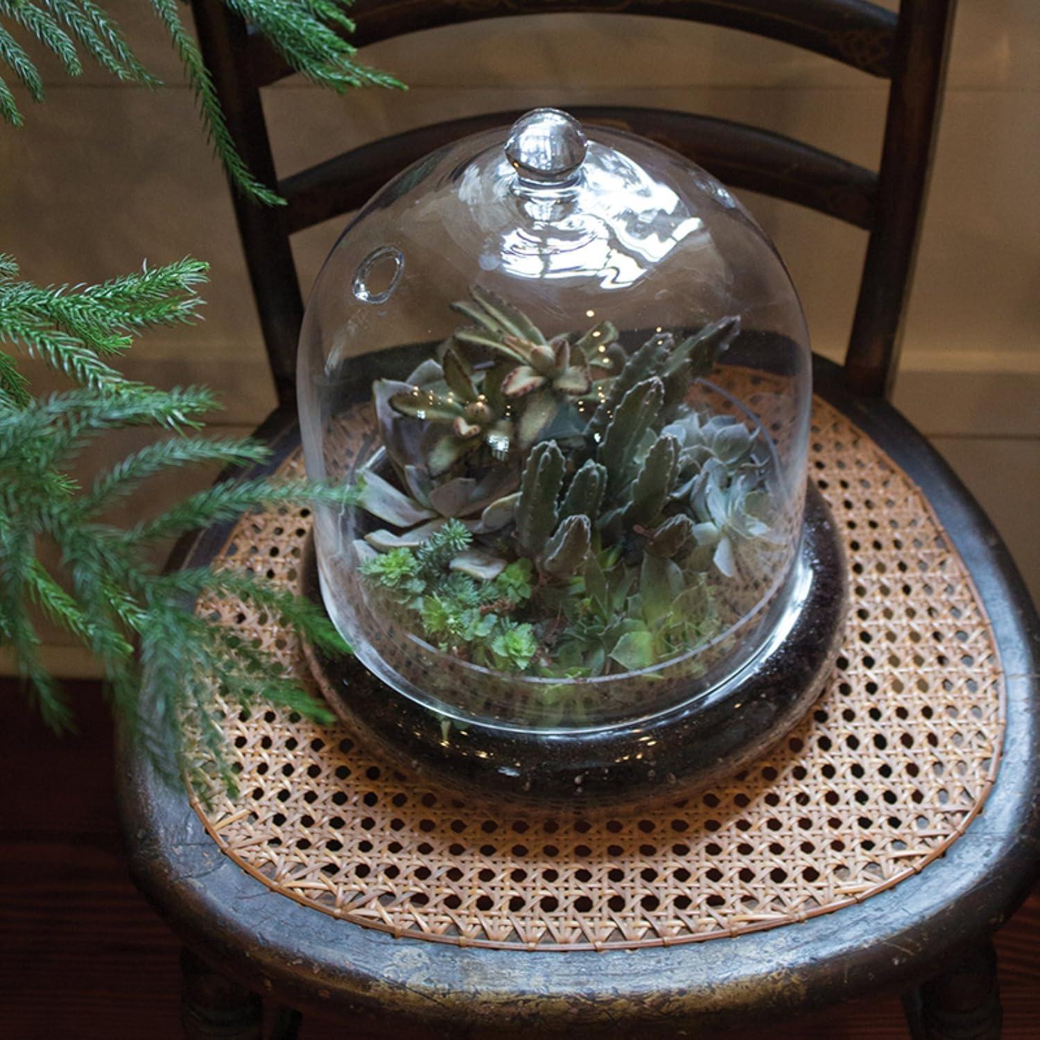 Medium Clear Glass Bell-Shaped Terrarium Cloche