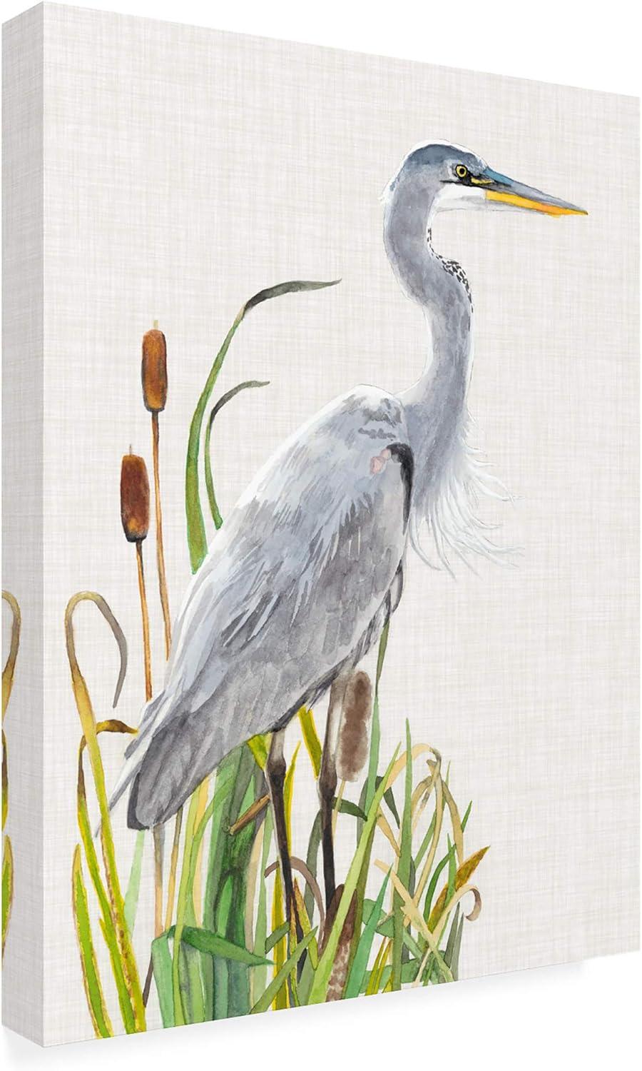 Trademark Fine Art -Naomi Mccavitt 'Water Birds And Cattails I' Canvas Art