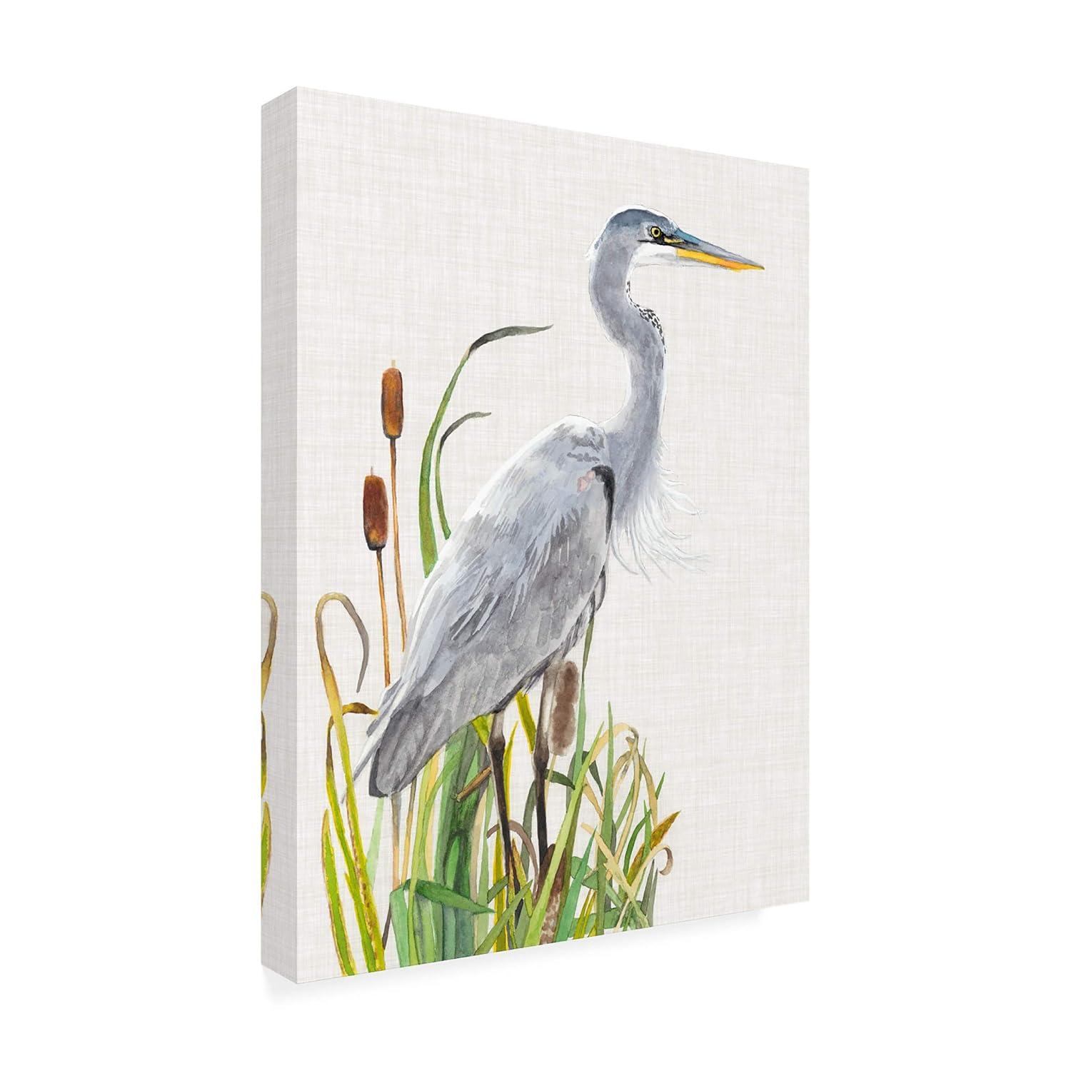Trademark Fine Art -Naomi Mccavitt 'Water Birds And Cattails I' Canvas Art