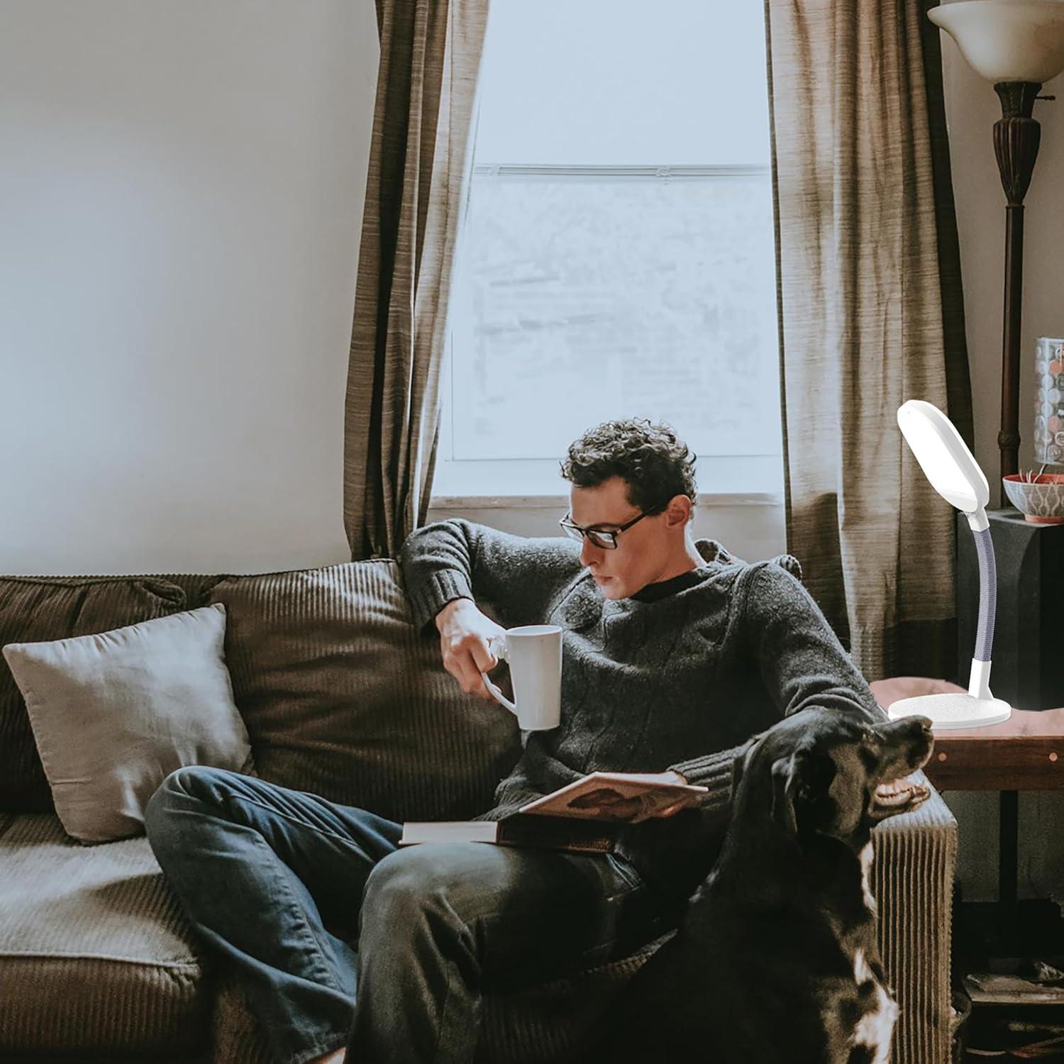 Hastings Home LED Sunlight Desk Lamp With Dimmer Switch