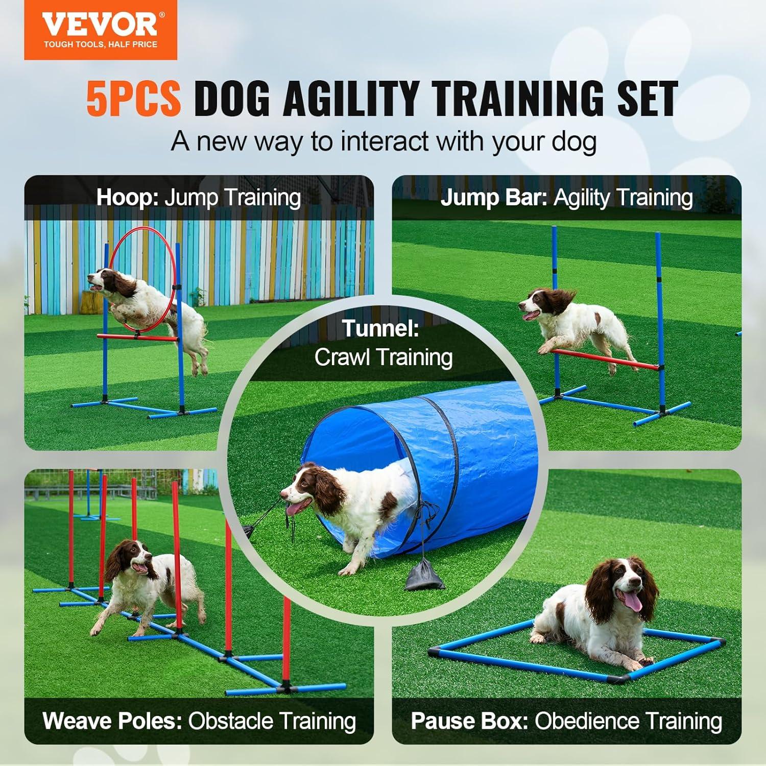 Blue and Red PVC Dog Agility Training Set with Tunnel