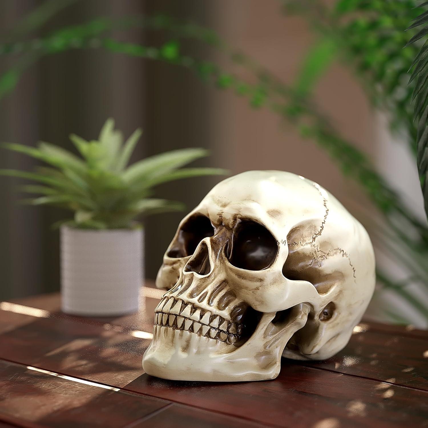 Life Size Painted Resin Human Skull Statue