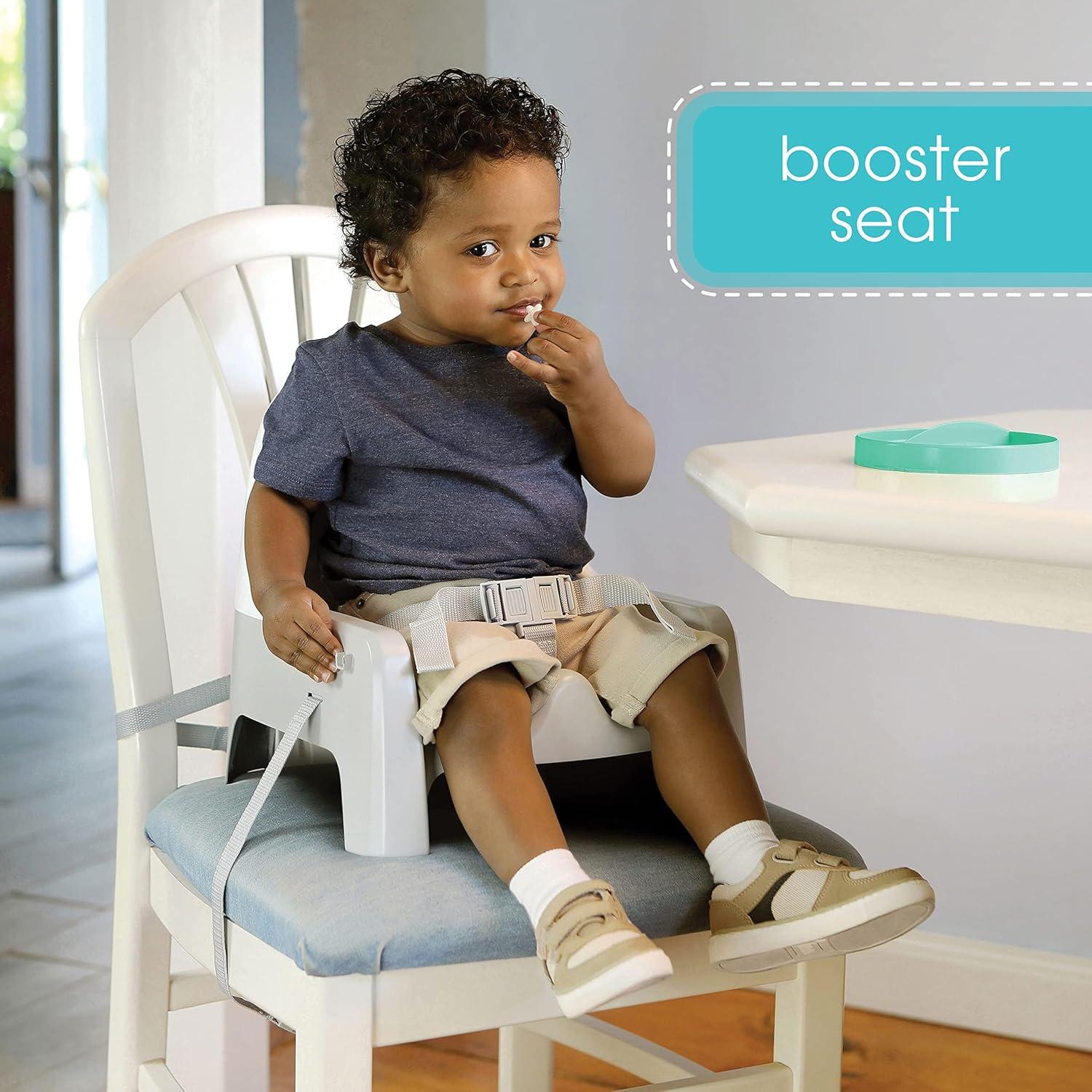 Summer Deluxe Learn-to-Dine Feeding Seat