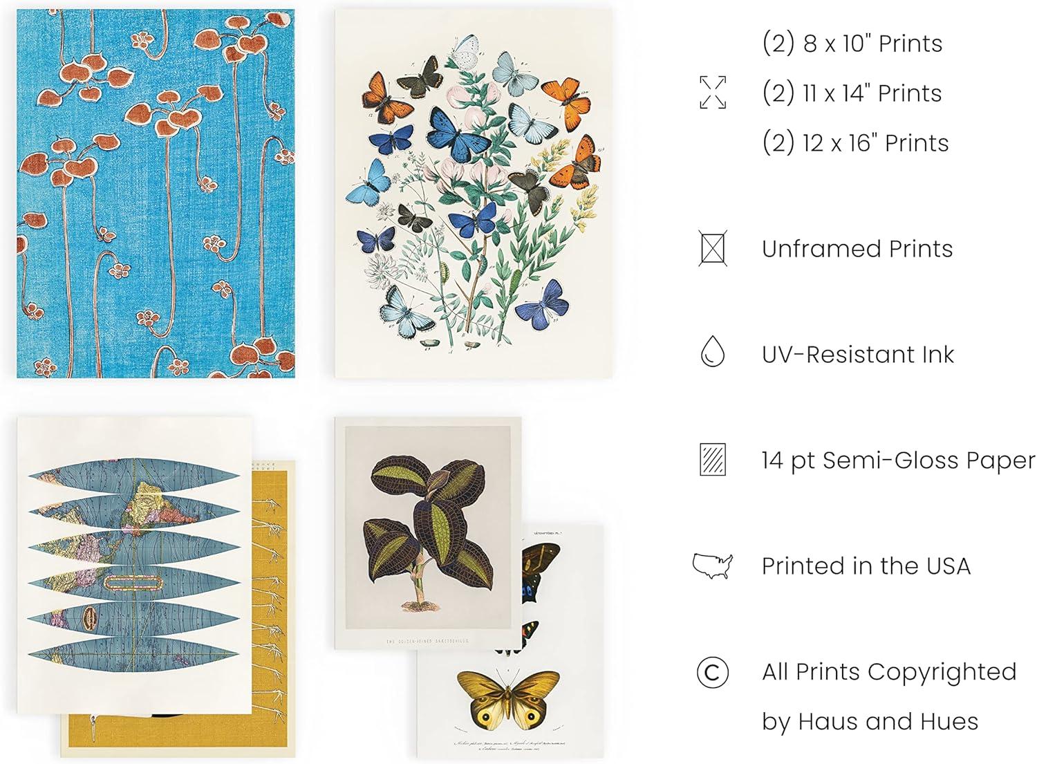 HAUS AND HUES Vintage Art Prints - Butterfly Posters for Room Aesthetic Vintage, Nature Posters, Botanical Vintage Posters, Cottagecore Poster, Wall Gallery Decor, Classic Art Poster (Unframed)