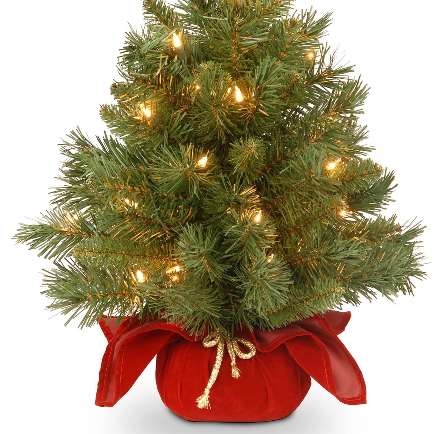 The Holiday Aisle® 2ft. Majestic Fir Tree with Clear Lights