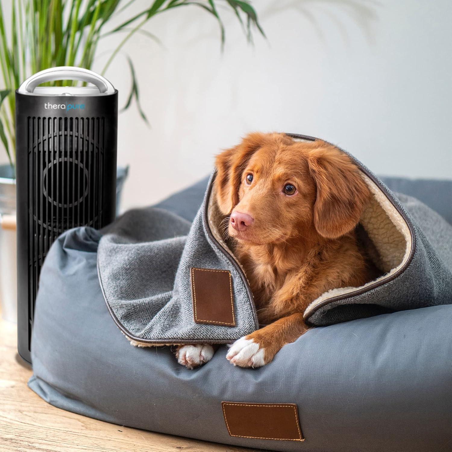 ENVION Therapure TPP620 Tower 4 Stage Air Purifier with 3 Fan Speeds, Black