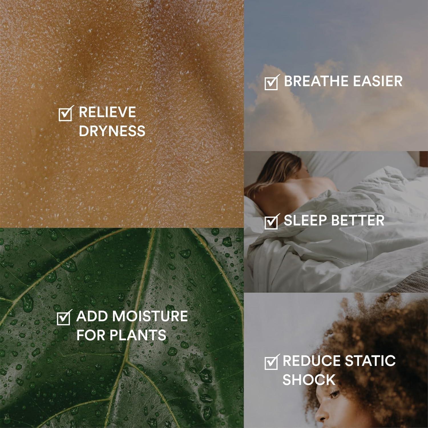 HoMedics Top-Fill Easy to Clean Warm/Cool Mist Ultrasonic Humidifier with Small Planter and Aromatherapy: 1.3 Gal, 60 Hr Run, No Filter