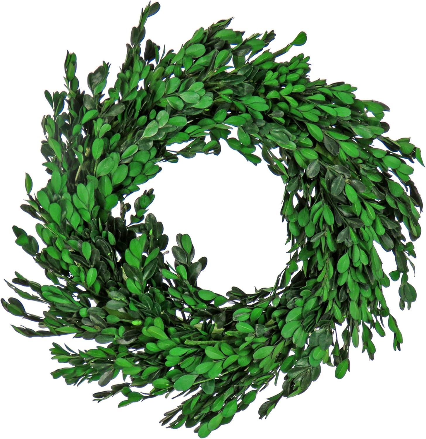 18" Artificial Boxwood Spring Wreath - National Tree Company