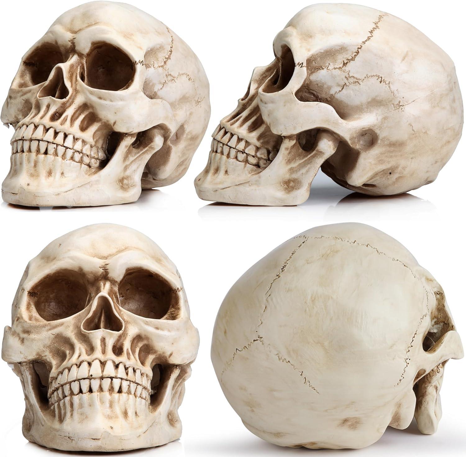 Life Size Painted Resin Human Skull Statue