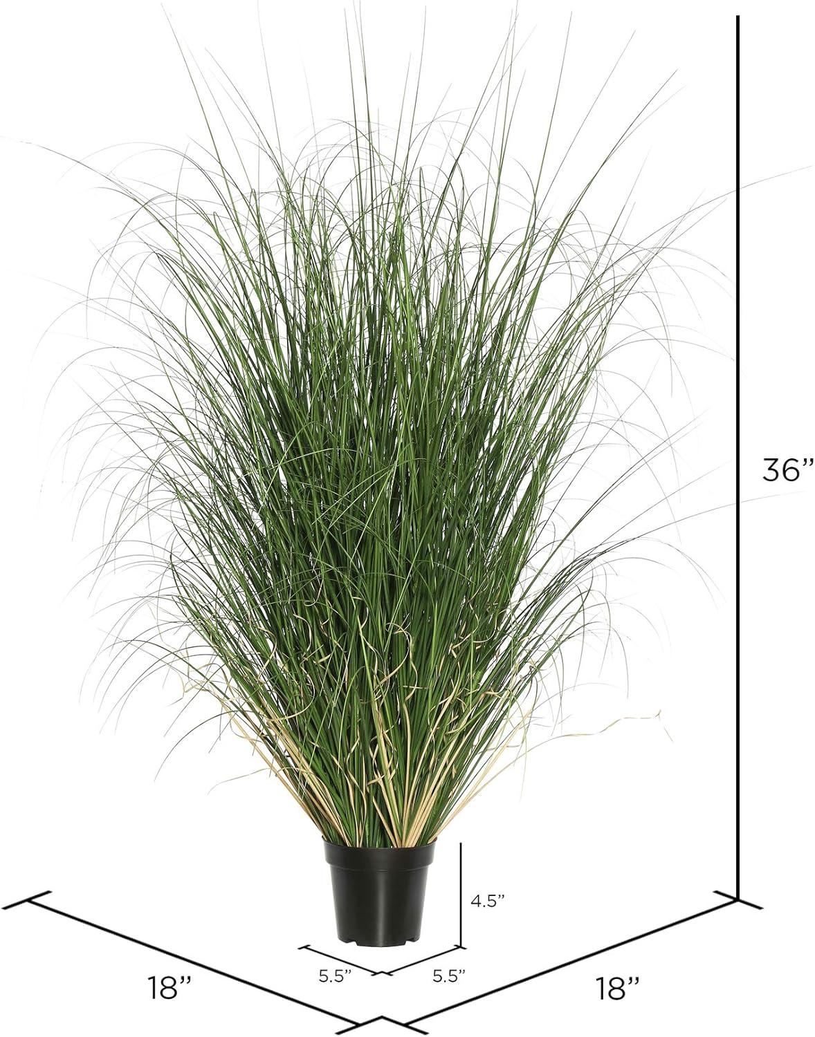 Vickerman Everyday 36" Artificial Potted Green Curled Grass - Lifelike Home Or Office Accent Decor - Premium Indoor Faux Potted Grass - Maintenance Free