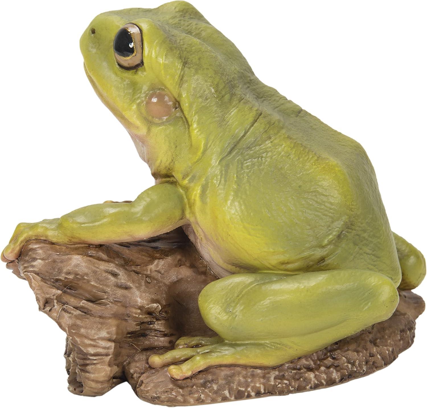 Tree Frog