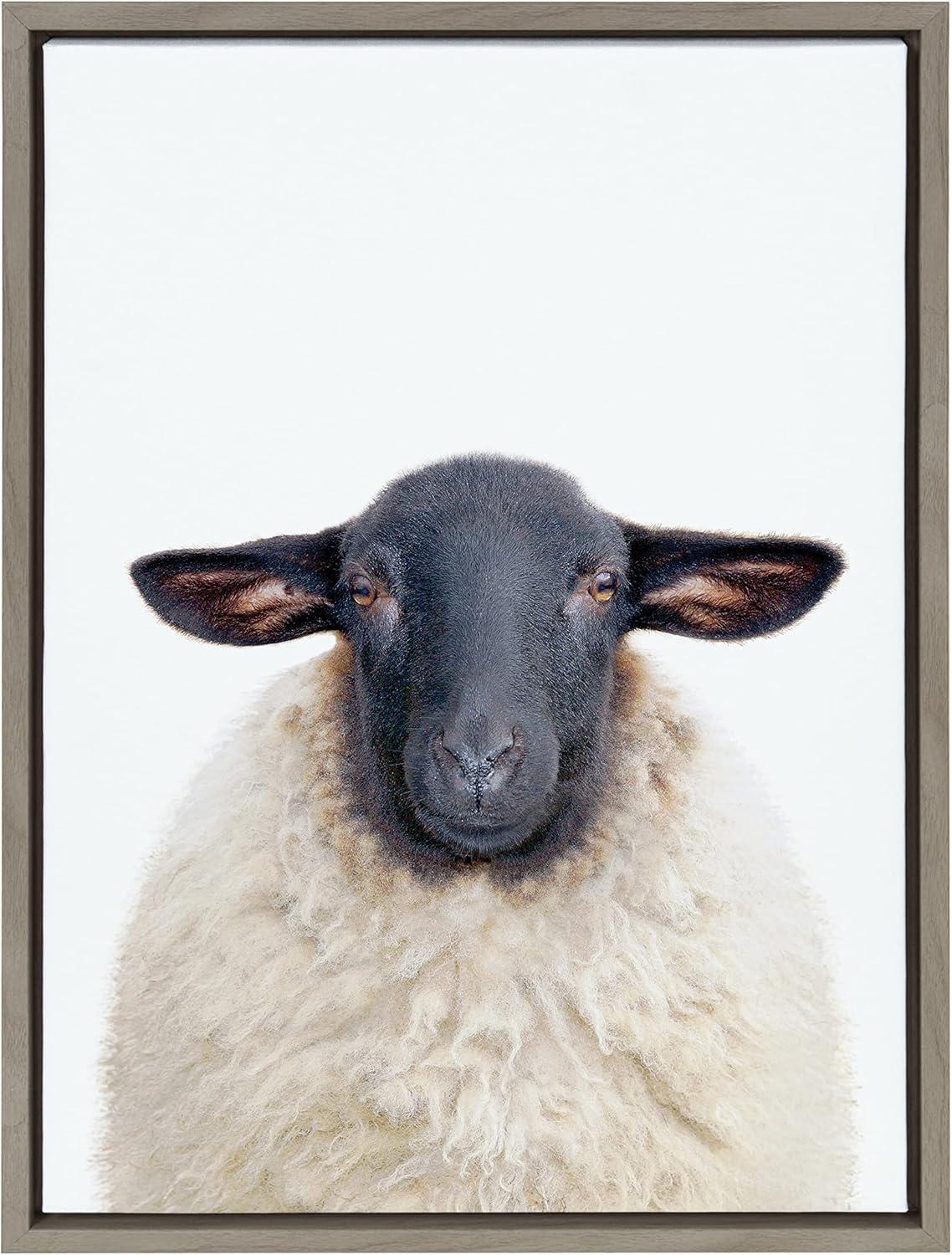 18" x 24" Sylvie Dorper Sheep Framed Canvas by Amy Peterson Art Studio - Kate & Laurel All Things Decor