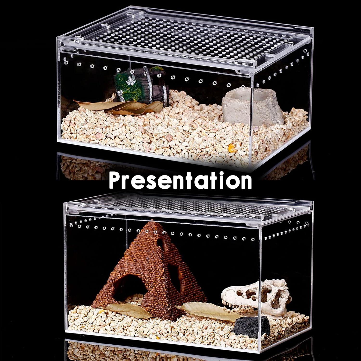 Reptile Terrarium - Amphibian Tank Starter Kit, Eco Rainforest Feeding Box, Amphibian Feeding Box, Suitable for breeding Lizards, Snakes, Chameleons,Jumping Spiders