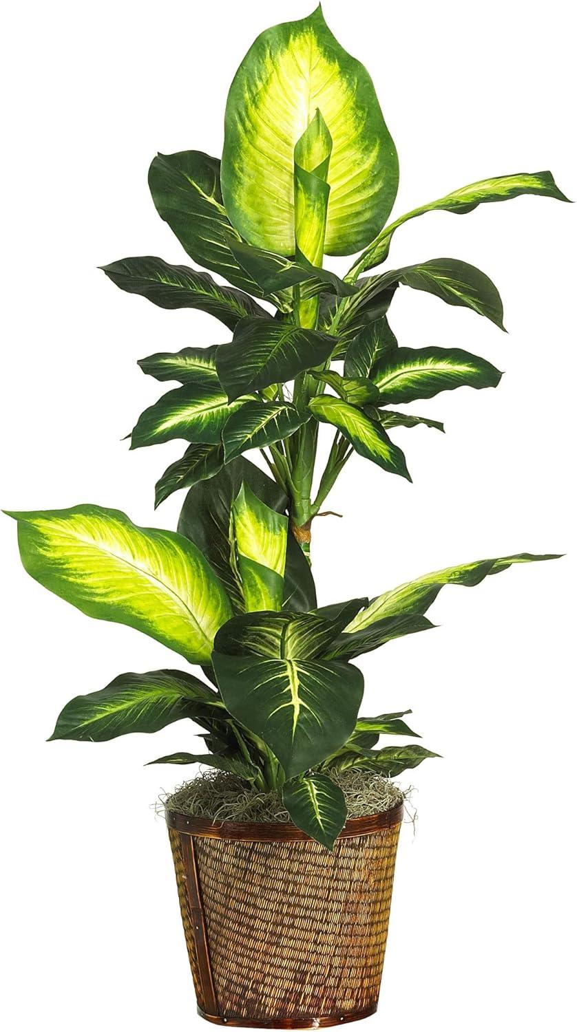 Lush Golden Dieffenbachia 53" Silk Plant with Wicker Basket