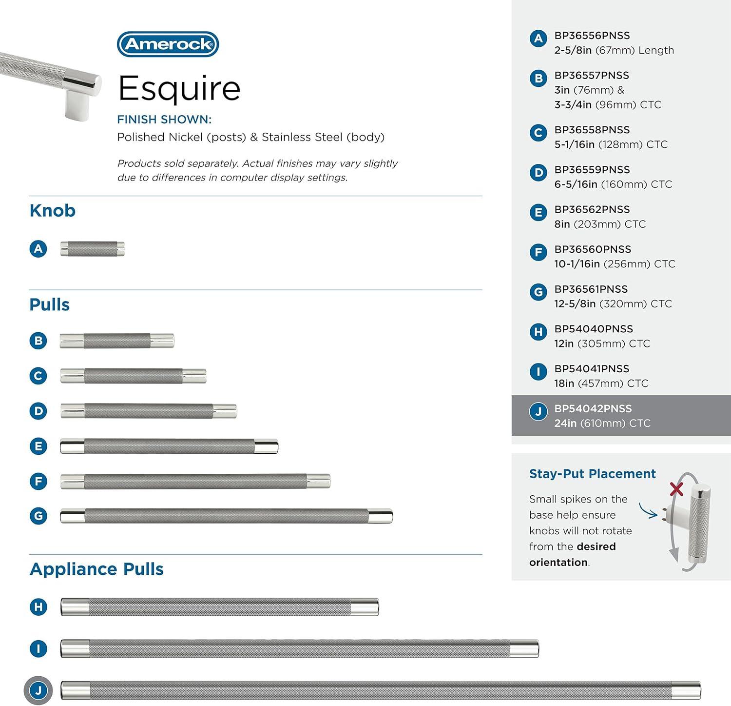 Amerock Esquire 24 inch (610mm) Center-to-Center Polished Nickel/Stainless Steel Appliance Pull