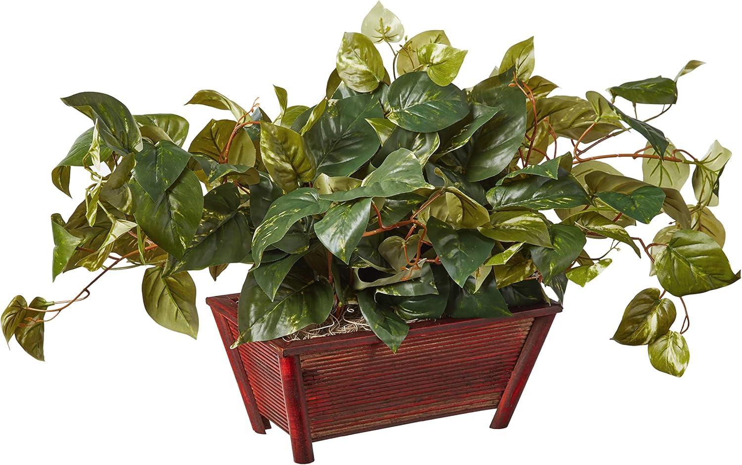 Green Pothos with Rectangle Decorative Planter, 18"