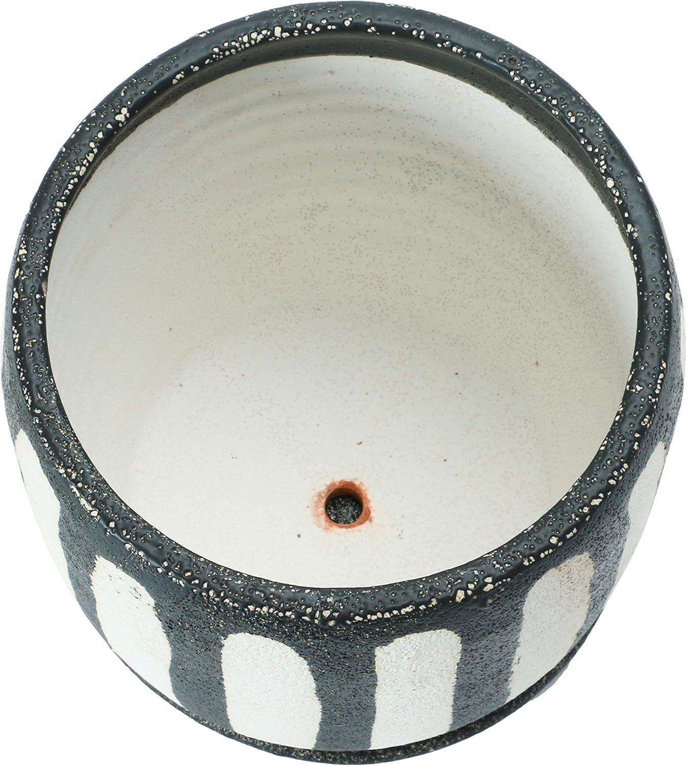 Bold Hand-Painted Black & White Terra-cotta Planter with Saucer, 7.5"