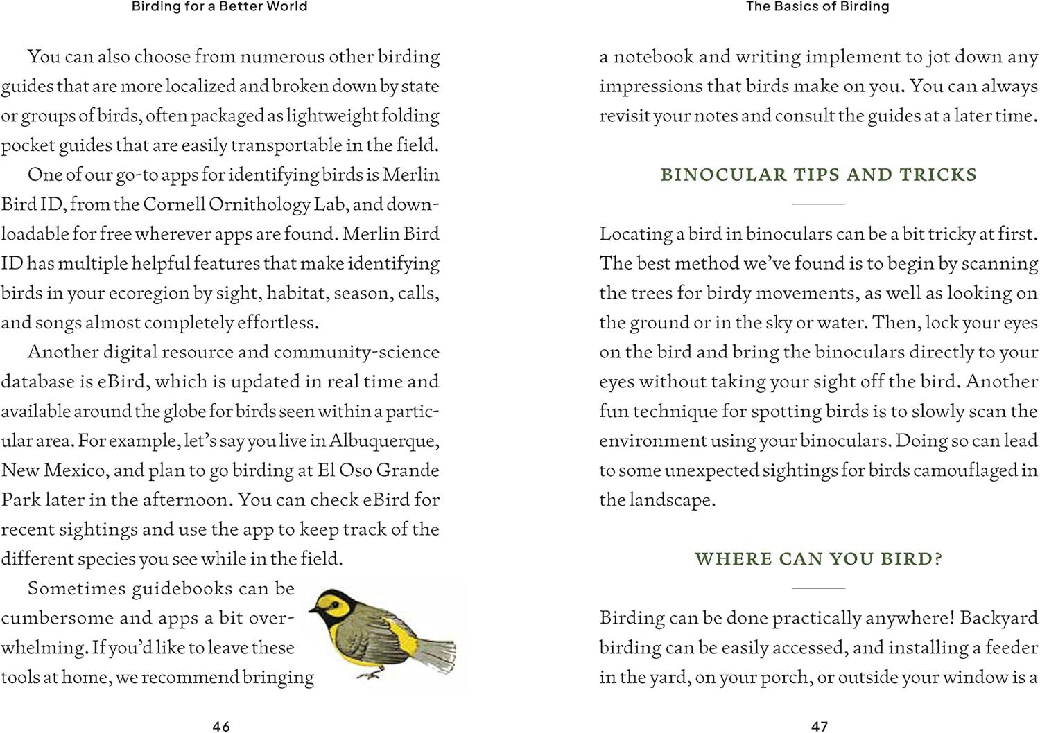 Birding for a Better World: Inclusive Nature Guide