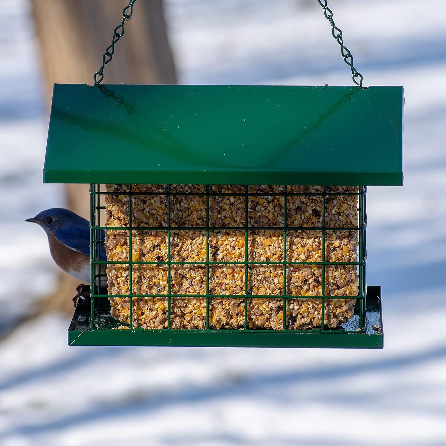 C & S Products EZ Fill Deluxe Suet Feeder, Green