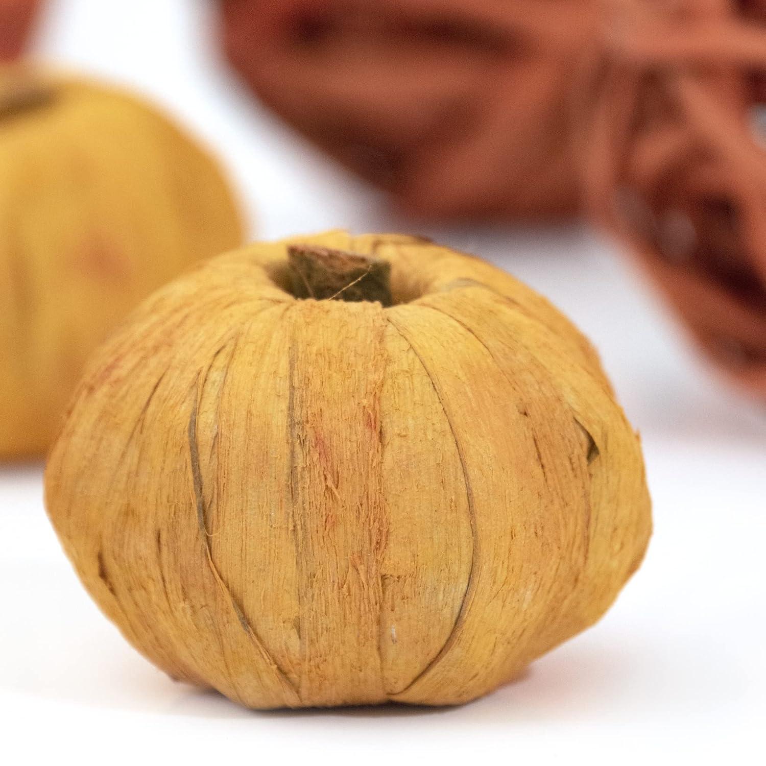 ANDALUCA Orange Decorative Vase Filler Bag with Mini Pumpkins, Orbs, Balls & Flowers Bowl Filler Decor (Pumpkin Orange)