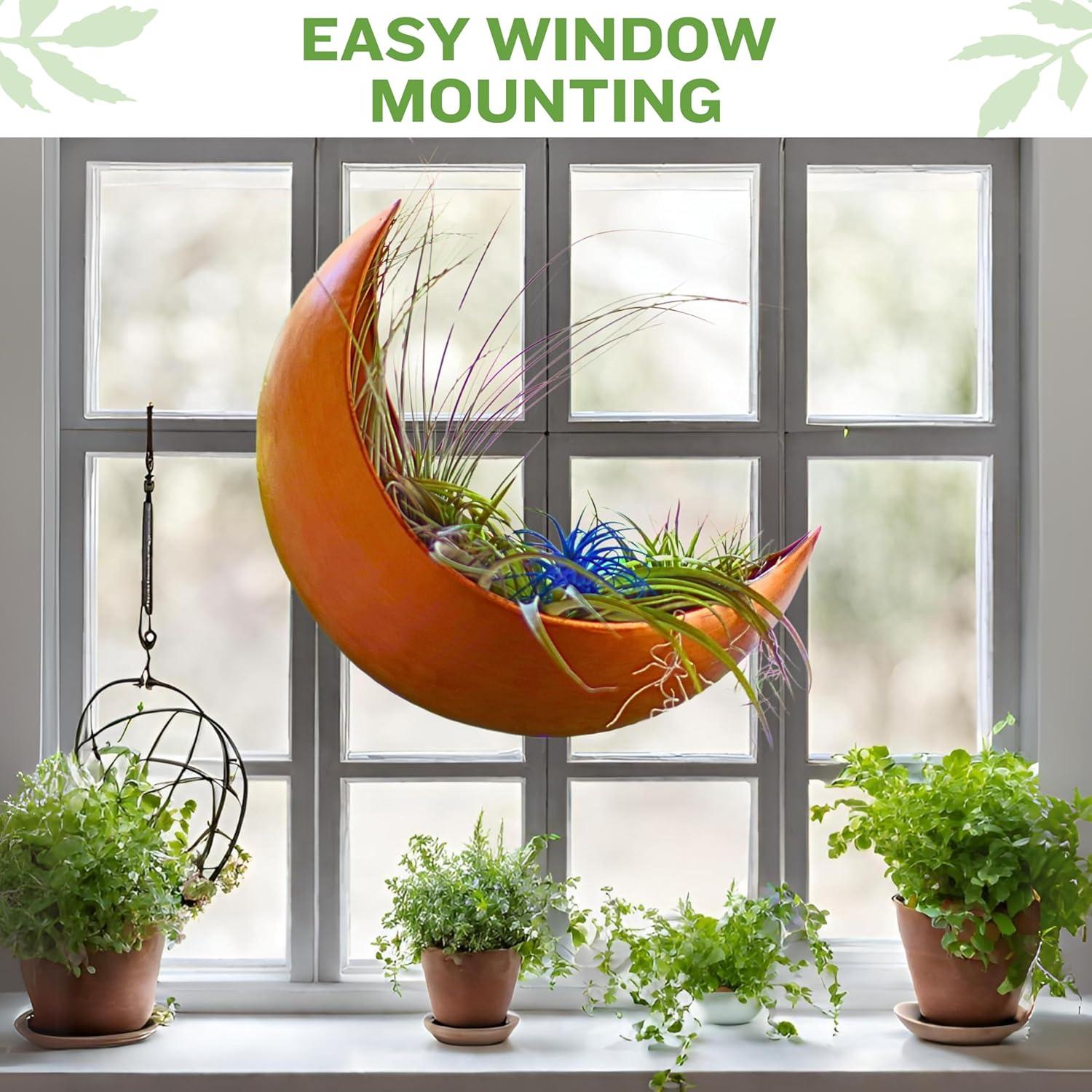 Wall Planter - Window Planter - Hanging Moon Planter - Boho Hanging Planters for Indoor Plants, Succulents, Air Plant, Cactus, Faux, Artificial Plants -Witchy Gifts for Women, Birthdays,Plant Lovers