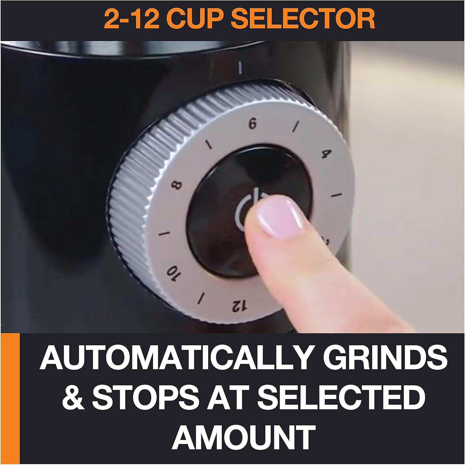 Krups 12-Cup Burr Grinder