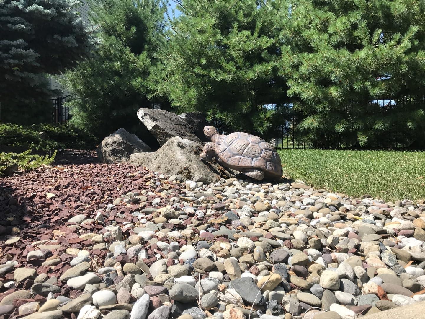 Sunnydaze Indoor/Outdoor Lifelike Large Tanya the Tortoise Patio Garden Yard Entryway Decorative Statue - 20"