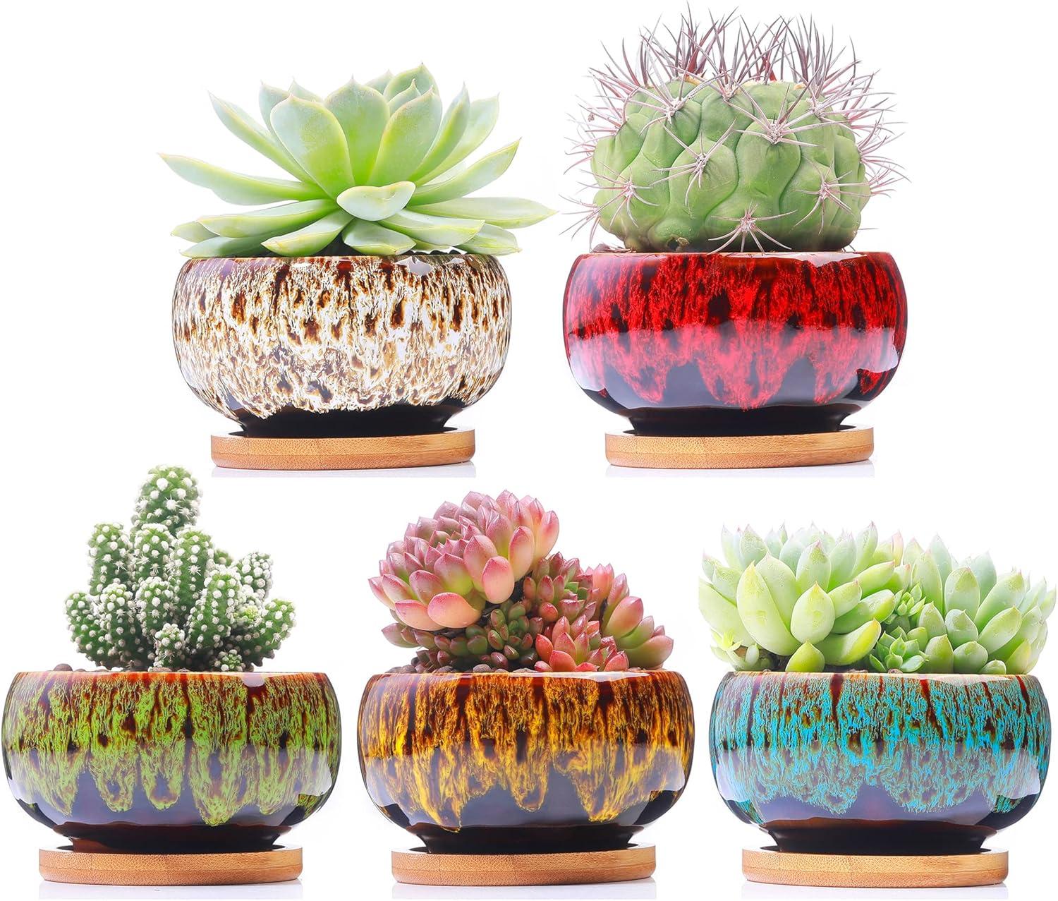 Colorful Ceramic Succulent Planters with Drainage and Saucers, Set of 5