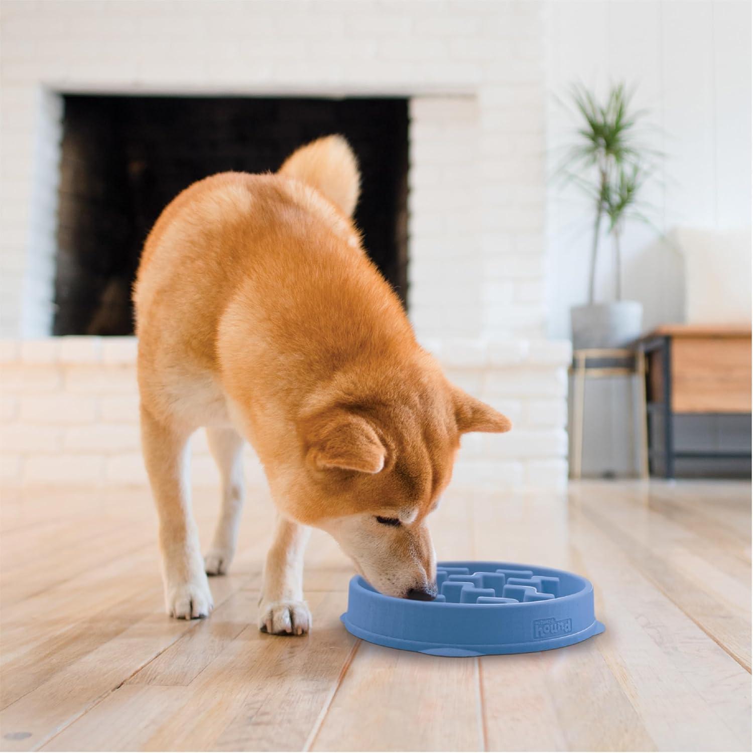 Outward Hound Fun Feeder Slo Bowl, Slow Feeder Dog Bowl, Blue, Medium/Mini