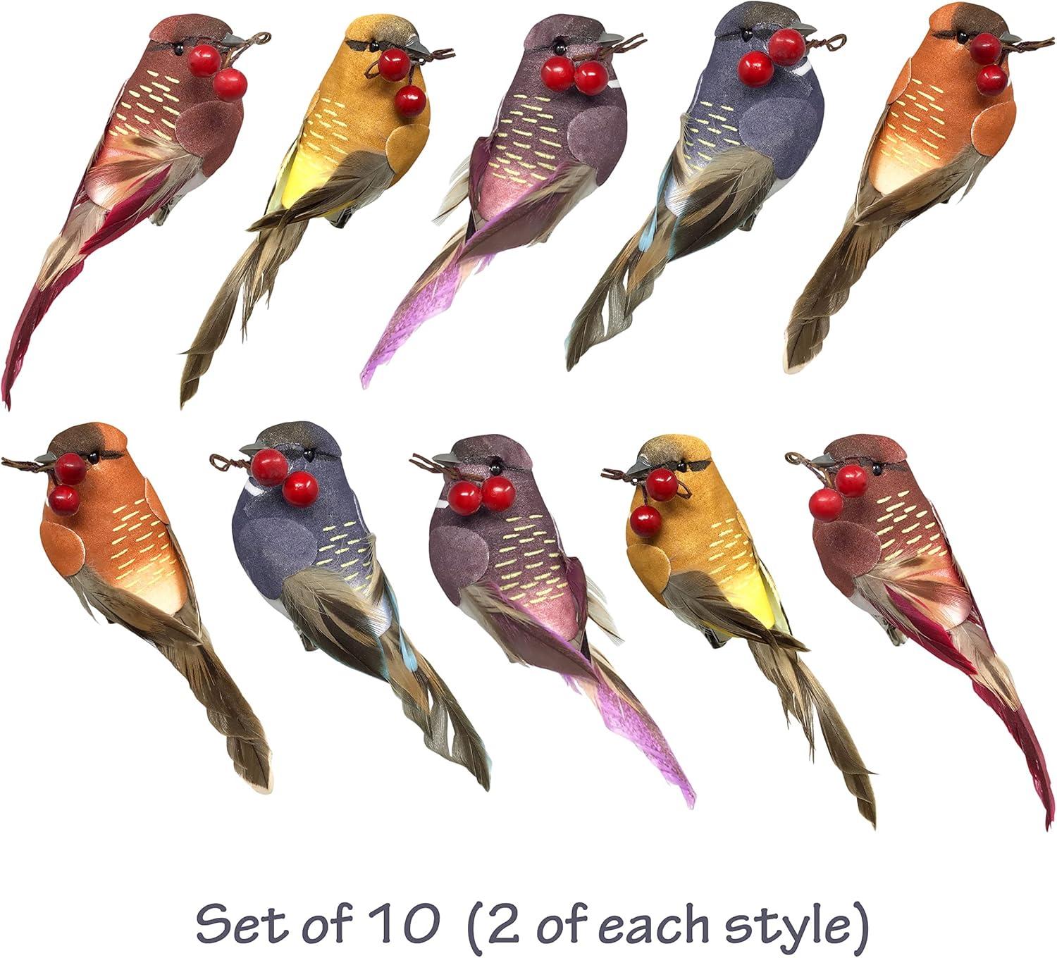 Songbird Christmas Ornaments - Set of 10 Clip Ons