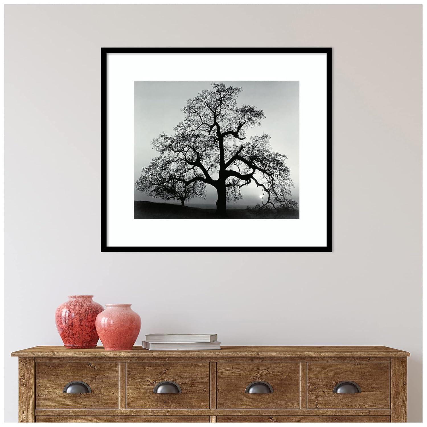 Amanti Art Framed Wall Art Print 27x31 Oak Tree Sunset City California 1962 by Ansel Adams, Landscapes Wall Art, Museum Masters Decor, Large Poster Painting Artwork for Living Room, Bedroom, Bathroom