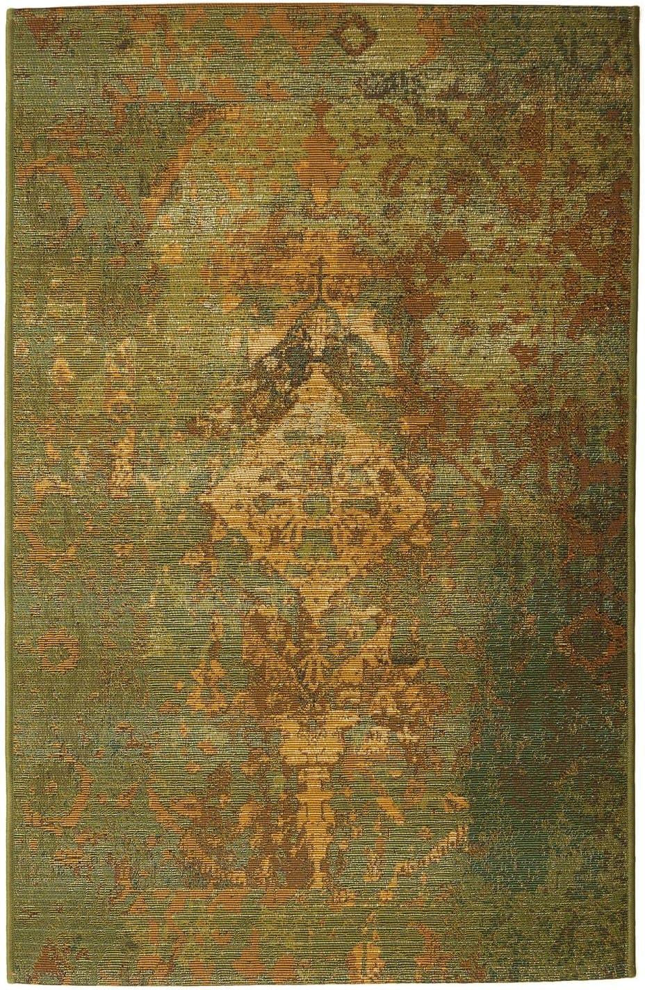 Liora Manne Marina Traditional Indoor/Outdoor Rug..