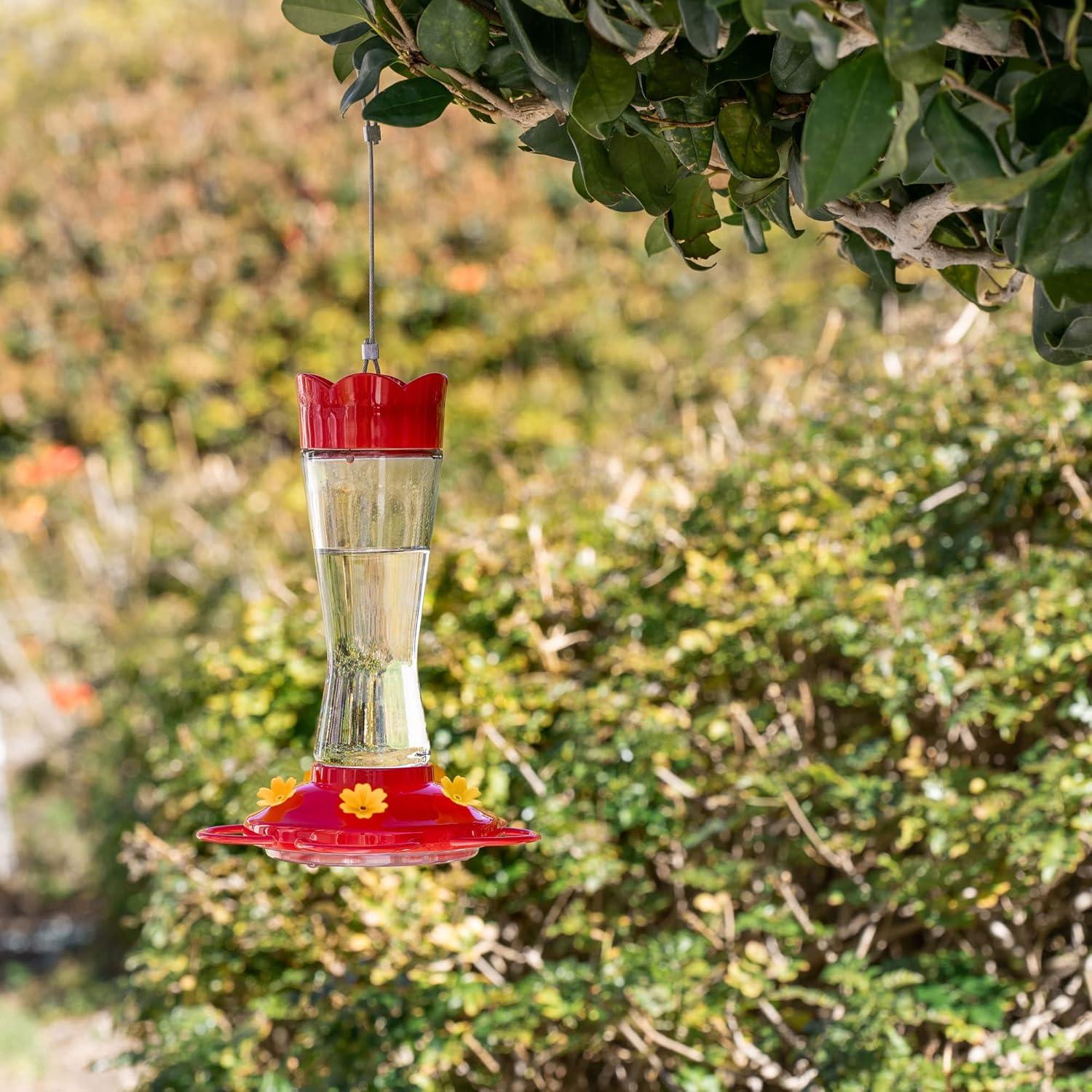 Red Glass Hanging Hummingbird Feeder with Ant Moat, 6" x 9"