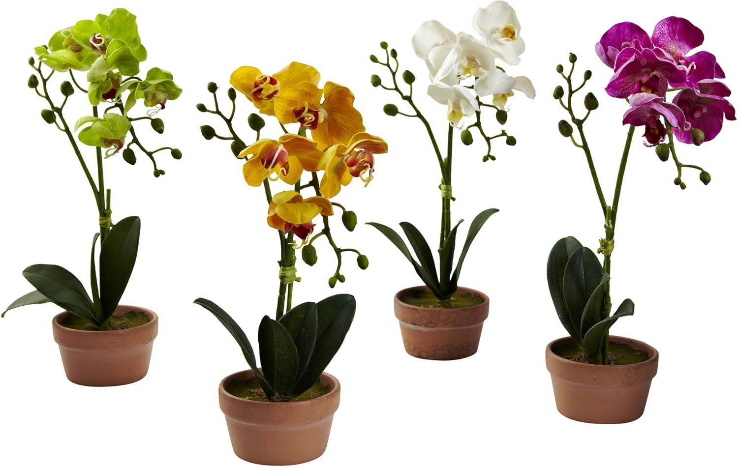 Nearly Natural Phalaenopsis Orchid with Clay Vase (Set of 4)